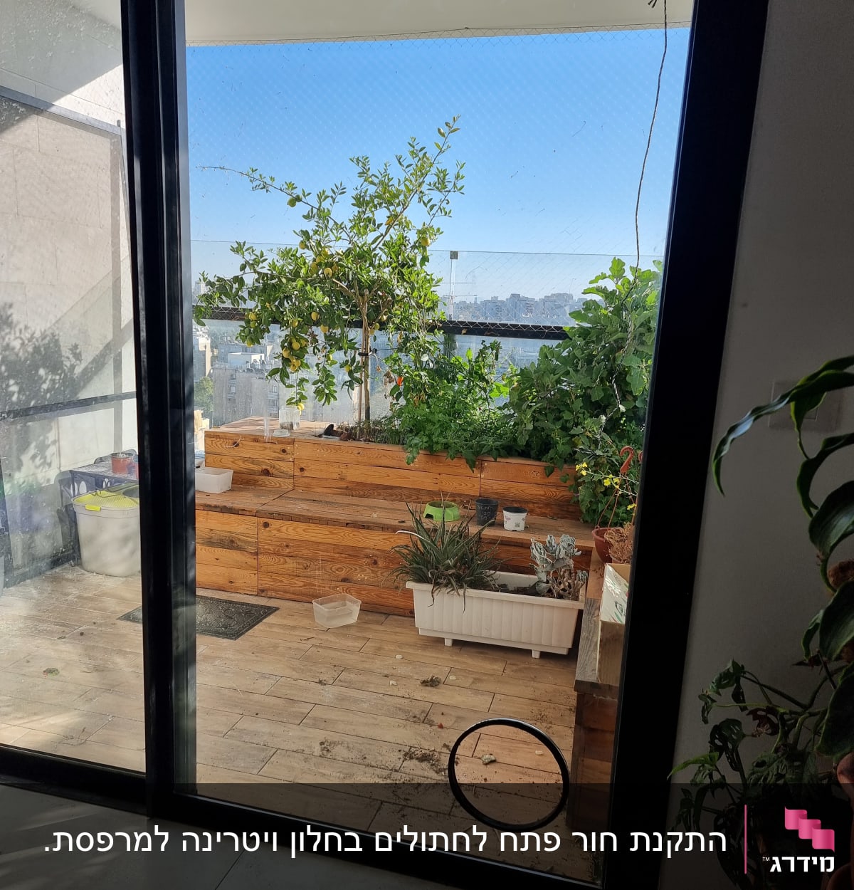 דלת זכוכית עם לכלוך וכתמים, נוף גינה בחוץ